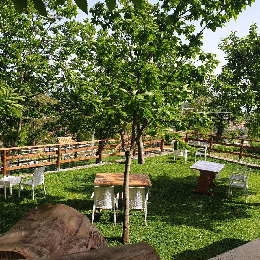 Villa Incoronata อาเจโรลา ภายนอก รูปภาพ